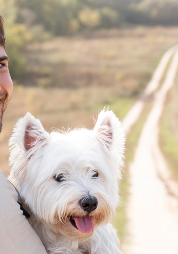 Man holding cute dog medium shot