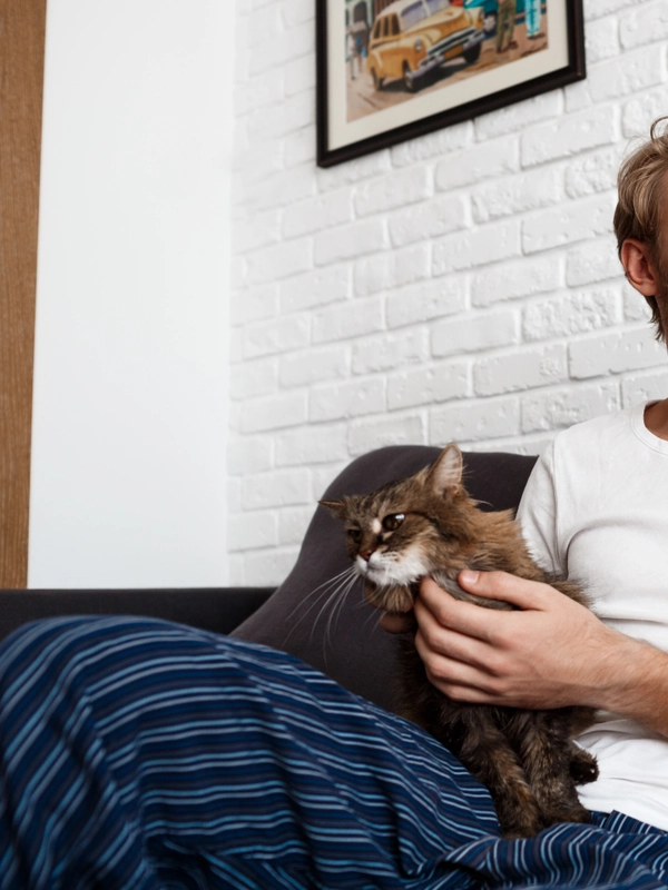 Young man smiling stroking cat sitting sofa home